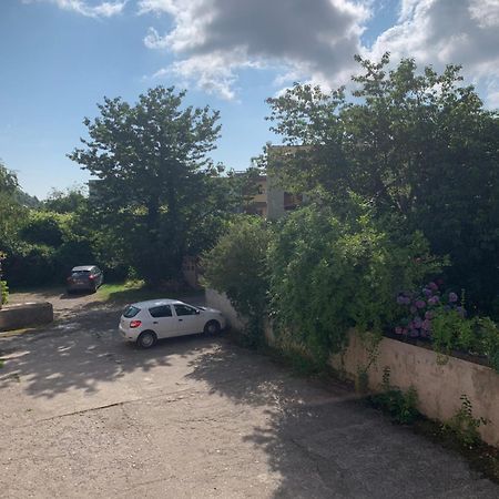 Residence Rokia Руая Екстер'єр фото